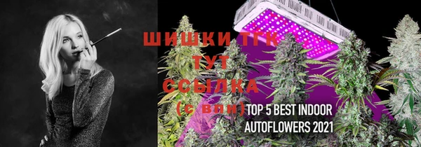 стафф Армянск
