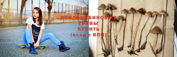 стафф Армянск